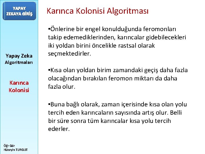 YAPAY ZEKAYA GİRİŞ Yapay Zeka Karınca Kolonisi Algoritması • Önlerine bir engel konulduğunda feromonları