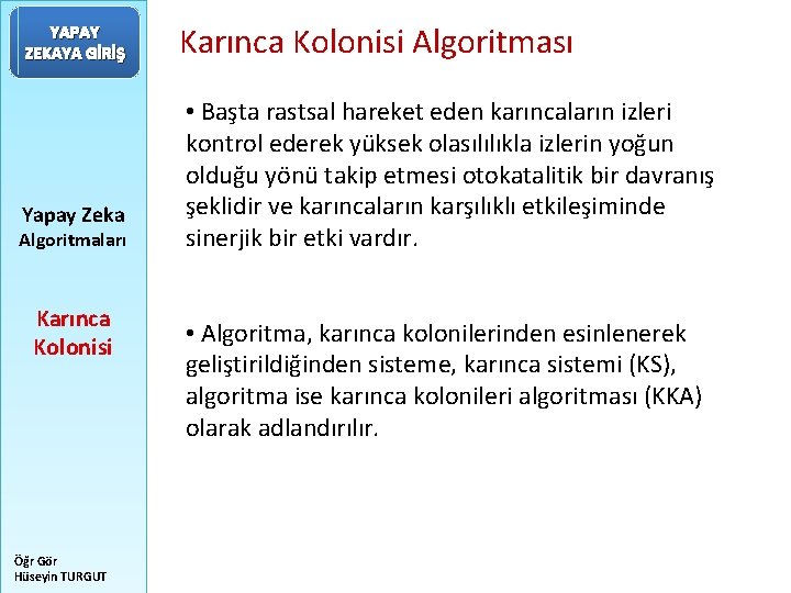 YAPAY ZEKAYA GİRİŞ Yapay Zeka Algoritmaları Karınca Kolonisi Öğr Gör Hüseyin TURGUT Karınca Kolonisi