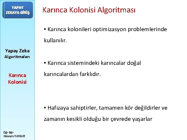 YAPAY ZEKAYA GİRİŞ Karınca Kolonisi Algoritması • Karınca kolonileri optimizasyon problemlerinde kullanılır. Yapay Zeka
