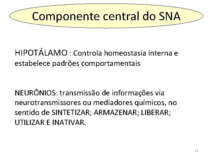 Componente central do SNA HIPOTÁLAMO : Controla homeostasia interna e estabelece padrões comportamentais NEURÔNIOS: