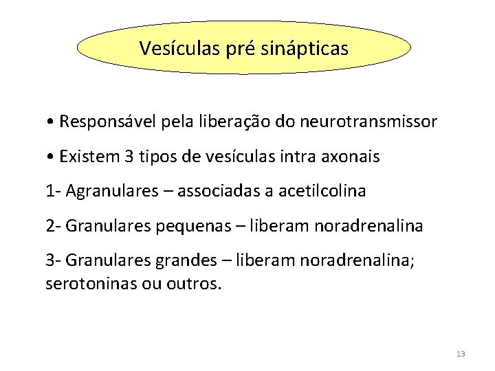 Vesículas pré sinápticas • Responsável pela liberação do neurotransmissor • Existem 3 tipos de