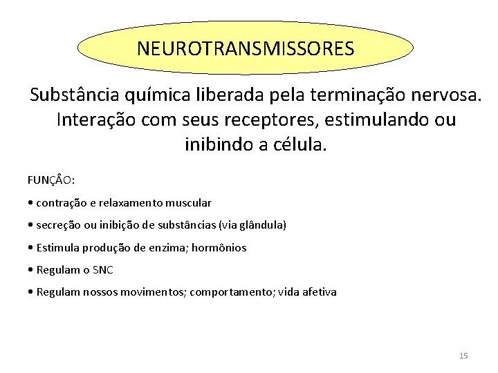 NEUROTRANSMISSORES Substância química liberada pela terminação nervosa. Interação com seus receptores, estimulando ou inibindo