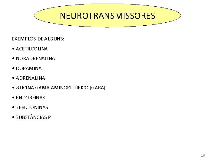 NEUROTRANSMISSORES EXEMPLOS DE ALGUNS: • ACETILCOLINA • NORADRENALINA • DOPAMINA • ADRENALINA • GLICINA