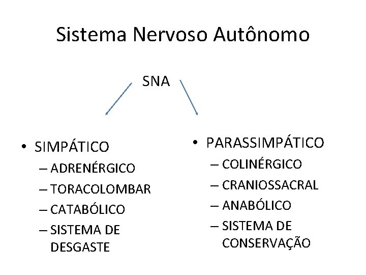 Sistema Nervoso Autônomo SNA • SIMPÁTICO – ADRENÉRGICO – TORACOLOMBAR – CATABÓLICO – SISTEMA