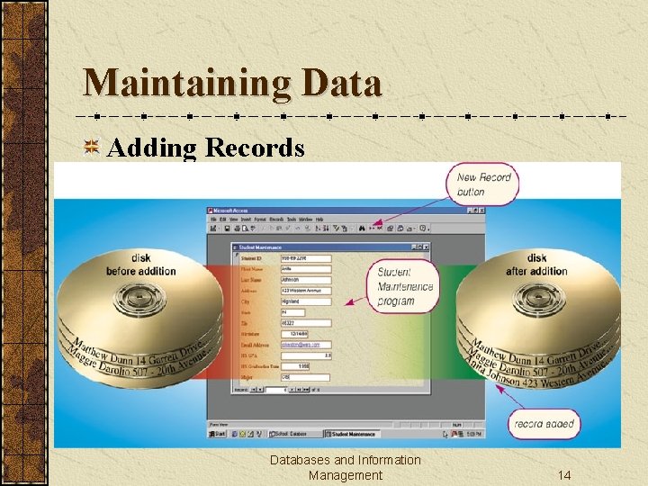 Maintaining Data Adding Records Databases and Information Management 14 