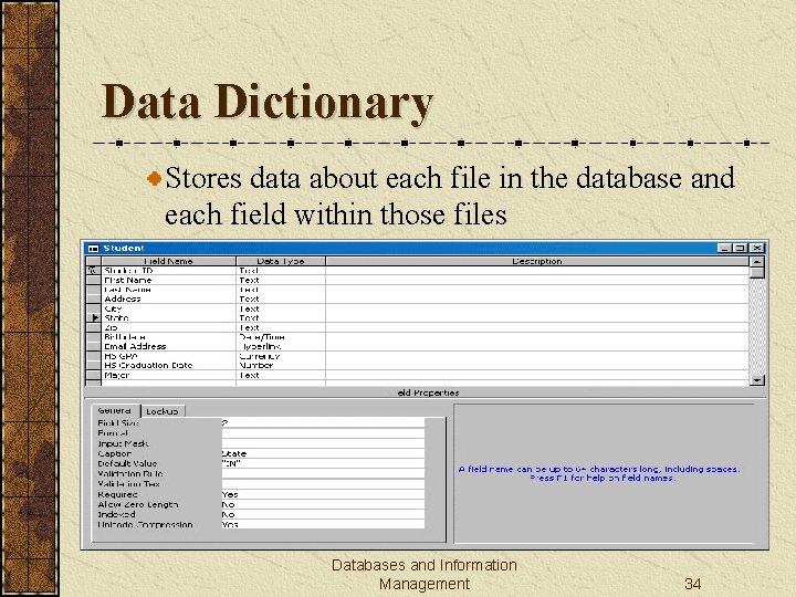 Data Dictionary Stores data about each file in the database and each field within