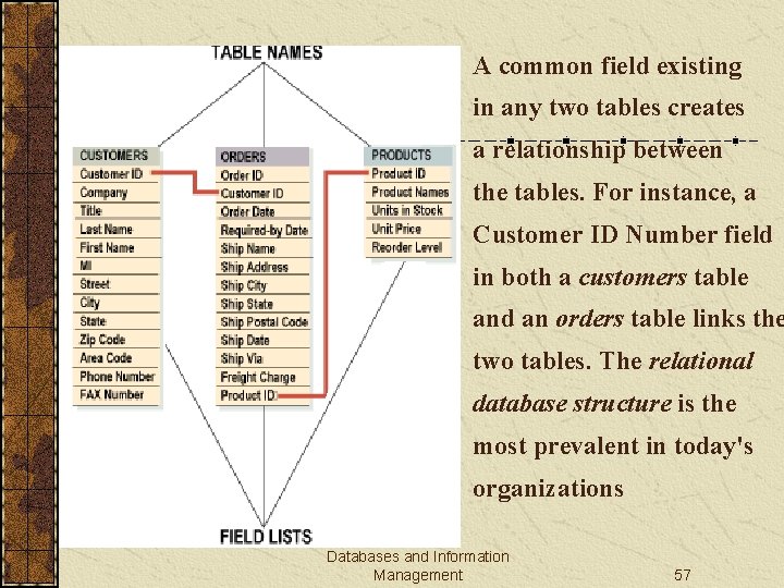A common field existing in any two tables creates a relationship between the tables.