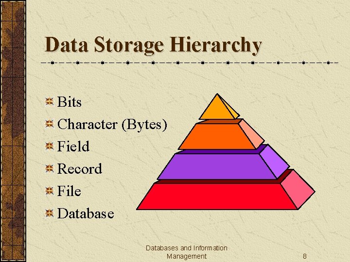Data Storage Hierarchy Bits Character (Bytes) Field Record File Databases and Information Management 8