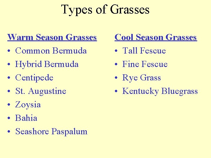 Types of Grasses Warm Season Grasses • Common Bermuda • Hybrid Bermuda • Centipede