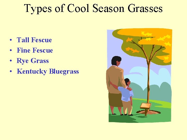 Types of Cool Season Grasses • • Tall Fescue Fine Fescue Rye Grass Kentucky