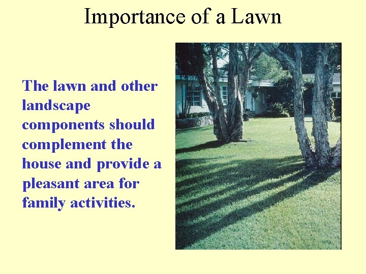 Importance of a Lawn The lawn and other landscape components should complement the house