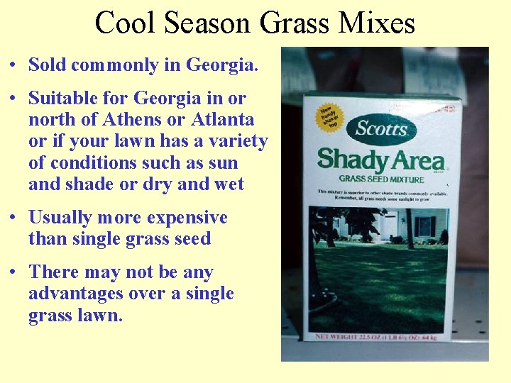 Cool Season Grass Mixes • Sold commonly in Georgia. • Suitable for Georgia in