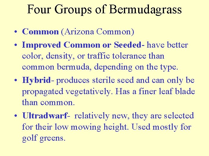 Four Groups of Bermudagrass • Common (Arizona Common) • Improved Common or Seeded- have