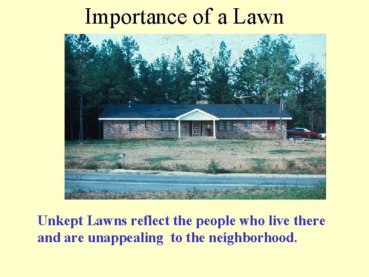 Importance of a Lawn Unkept Lawns reflect the people who live there and are