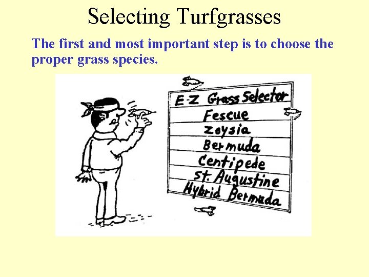 Selecting Turfgrasses The first and most important step is to choose the proper grass