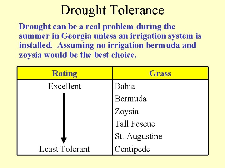 Drought Tolerance Drought can be a real problem during the summer in Georgia unless