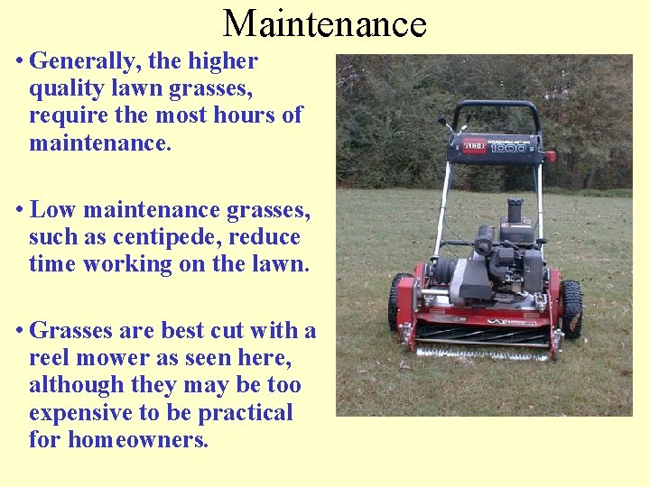 Maintenance • Generally, the higher quality lawn grasses, require the most hours of maintenance.