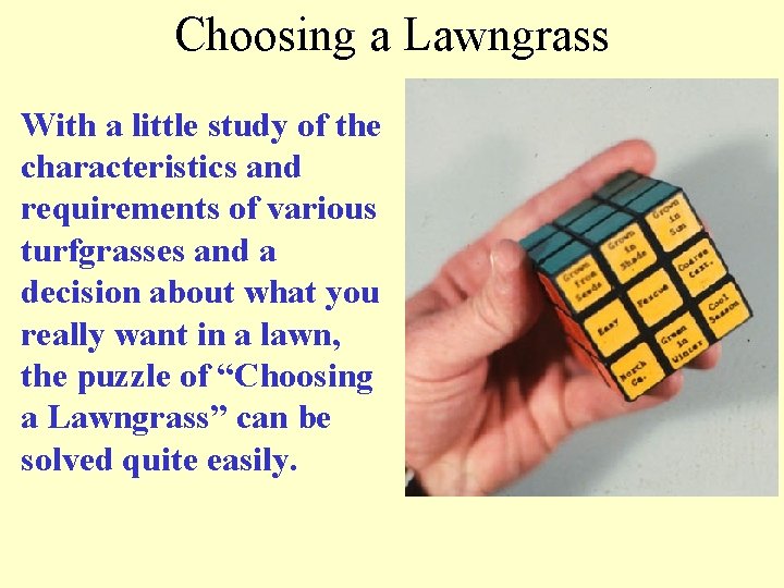 Choosing a Lawngrass With a little study of the characteristics and requirements of various