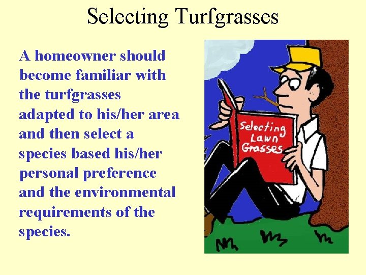 Selecting Turfgrasses A homeowner should become familiar with the turfgrasses adapted to his/her area