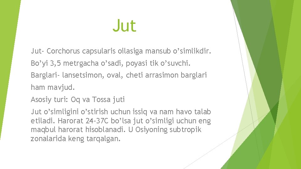 Jut Jut- Corchorus capsularis oilasiga mansub o’simlikdir. Bo’yi 3, 5 metrgacha o’sadi, poyasi tik Jut Jut- Corchorus capsularis oilasiga mansub o’simlikdir. Bo’yi 3, 5 metrgacha o’sadi, poyasi tik