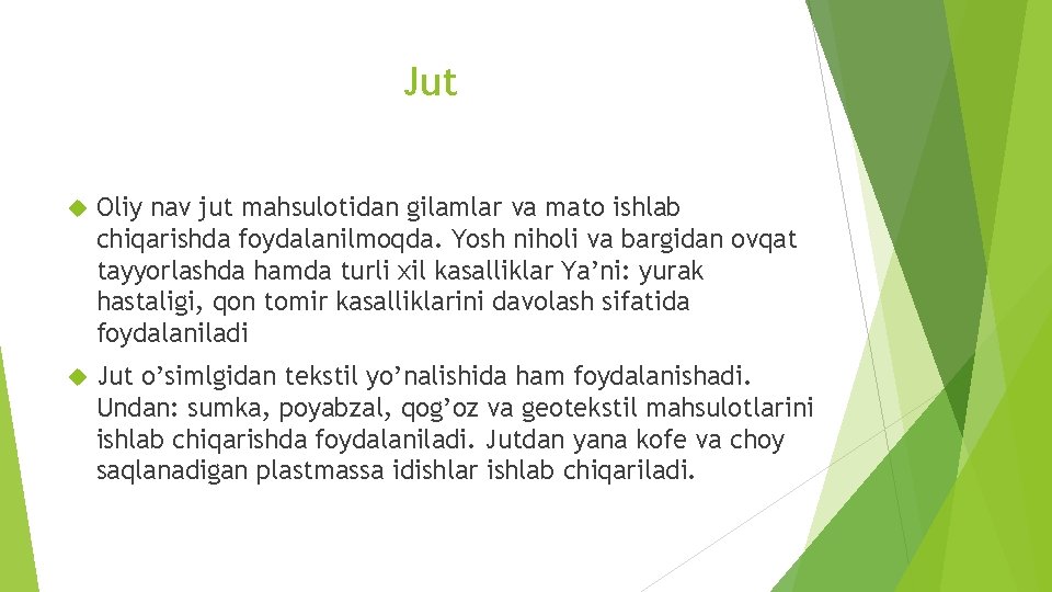 Jut Oliy nav jut mahsulotidan gilamlar va mato ishlab chiqarishda foydalanilmoqda. Yosh niholi va Jut Oliy nav jut mahsulotidan gilamlar va mato ishlab chiqarishda foydalanilmoqda. Yosh niholi va