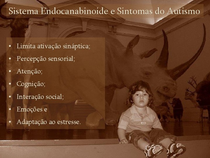 Sistema Endocanabinoide e Sintomas do Autismo • Limita ativação sináptica; • Percepção sensorial; •