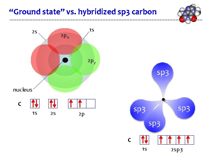 “Ground state” vs. hybridized sp 3 carbon 2 s 1 s 2 px 2