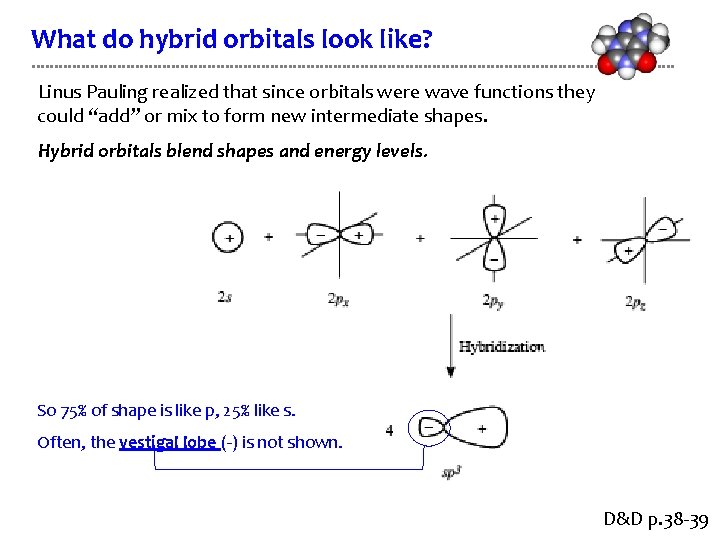 What do hybrid orbitals look like? Linus Pauling realized that since orbitals were wave