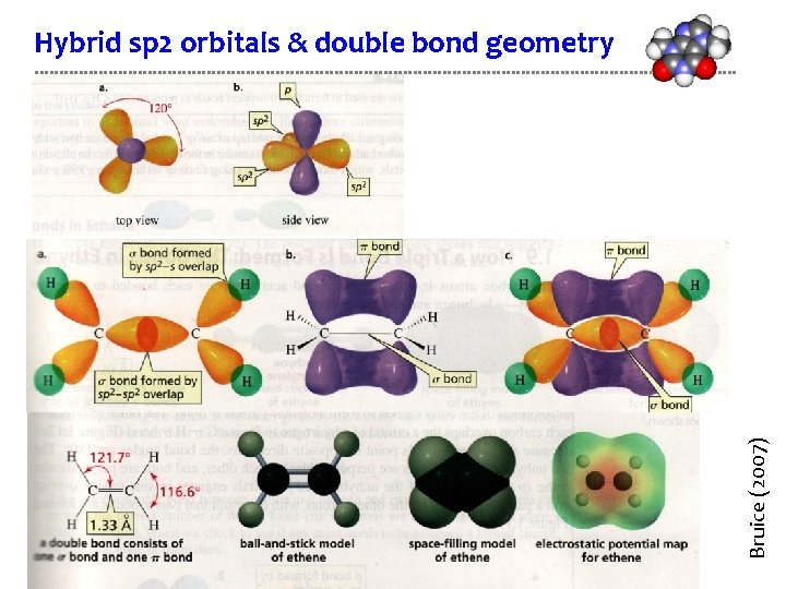 Bruice (2007) Hybrid sp 2 orbitals & double bond geometry 