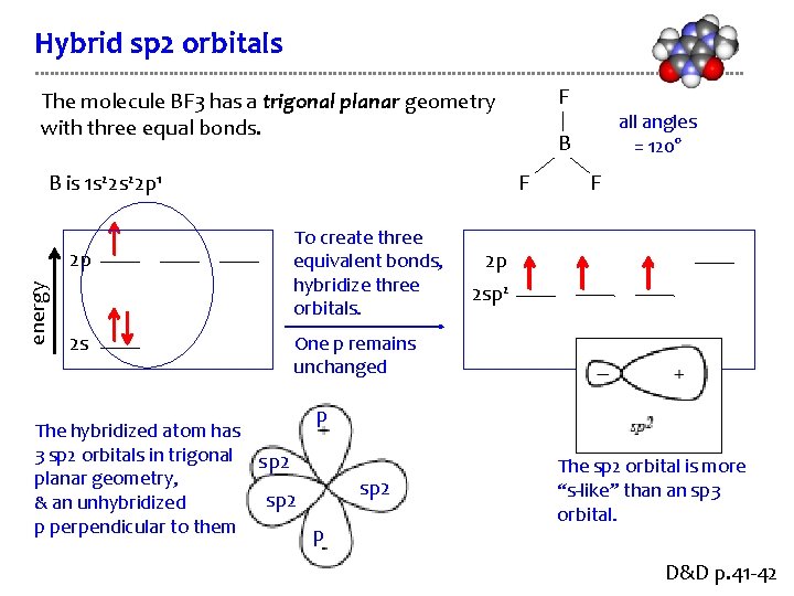 Hybrid sp 2 orbitals F The molecule BF 3 has a trigonal planar geometry