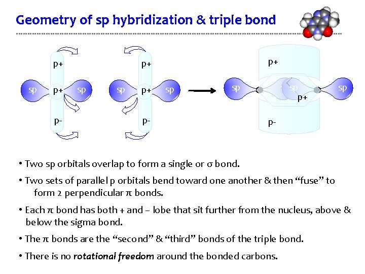 Geometry of sp hybridization & triple bond p+ sp p+ p- p+ p+ sp