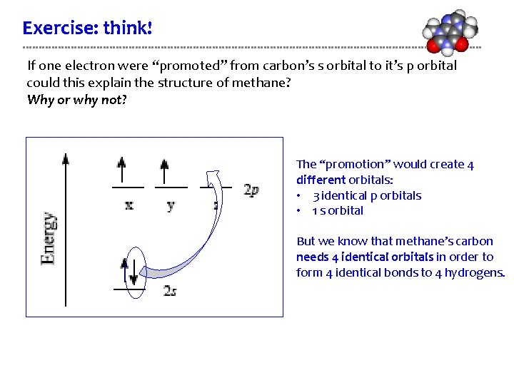 Exercise: think! If one electron were “promoted” from carbon’s s orbital to it’s p