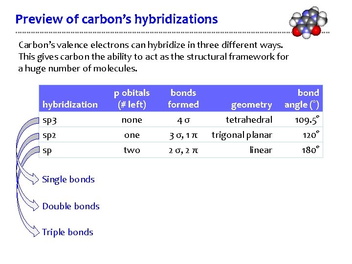 Preview of carbon’s hybridizations Carbon’s valence electrons can hybridize in three different ways. This