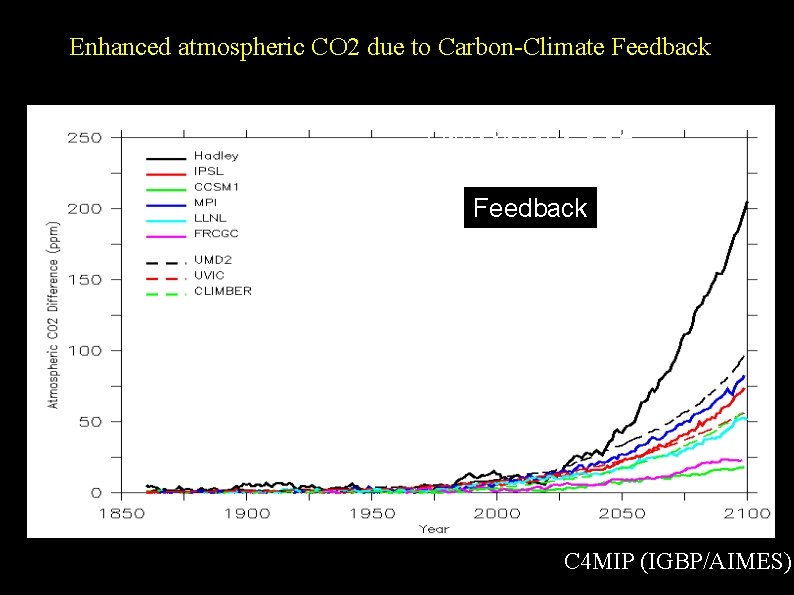 Enhanced atmospheric CO 2 due to Carbon-Climate Feedback Atmospheric CO 2 Feedback C 4