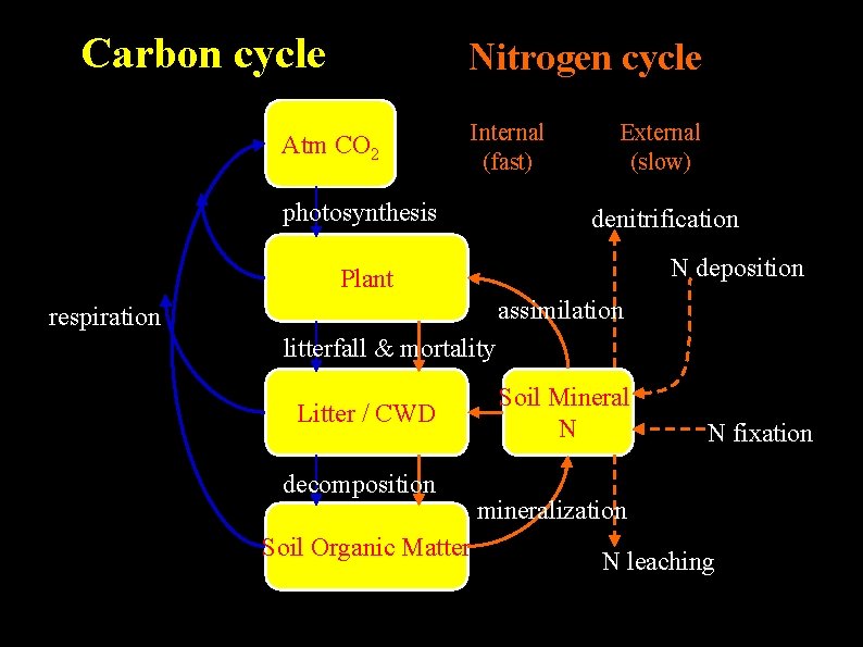 Carbon cycle Nitrogen cycle Atm CO 2 Internal (fast) photosynthesis External (slow) denitrification N