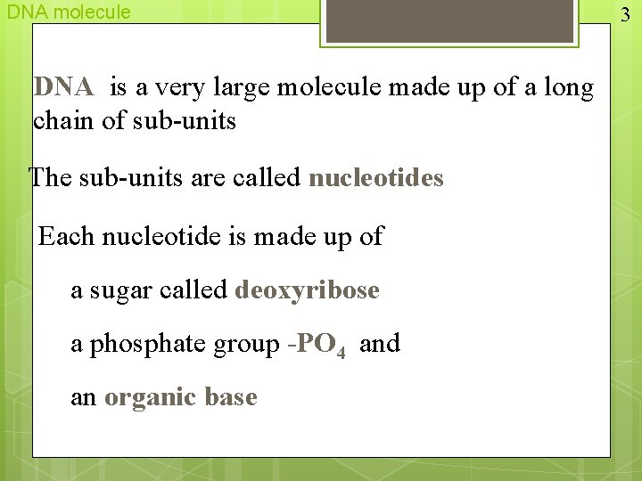 DNA molecule DNA is a very large molecule made up of a long chain