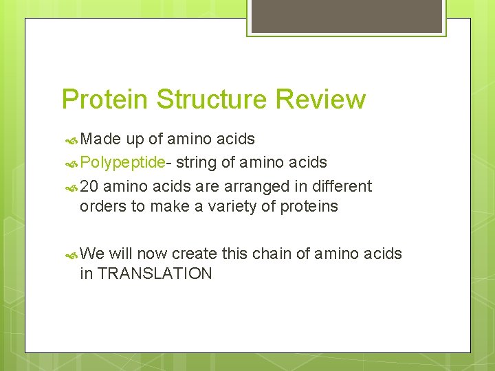 Protein Structure Review Made up of amino acids Polypeptide- string of amino acids 20