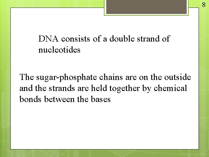 8 DNA consists of a double strand of nucleotides The sugar-phosphate chains are on