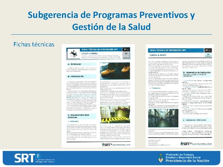 Subgerencia de Programas Preventivos y Gestión de la Salud Fichas técnicas 