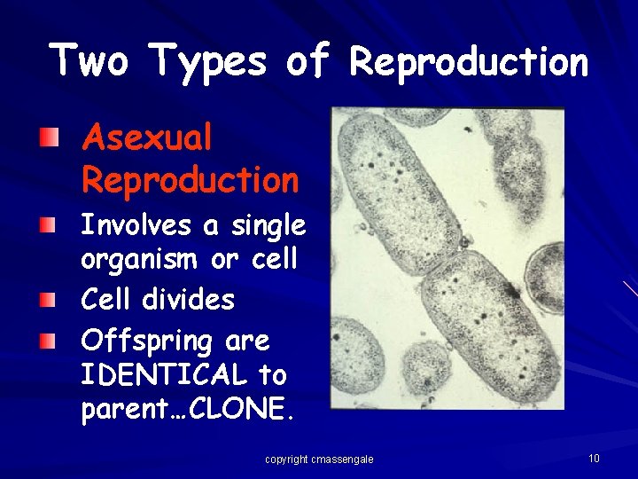 Two Types of Reproduction Asexual Reproduction Involves a single organism or cell Cell divides