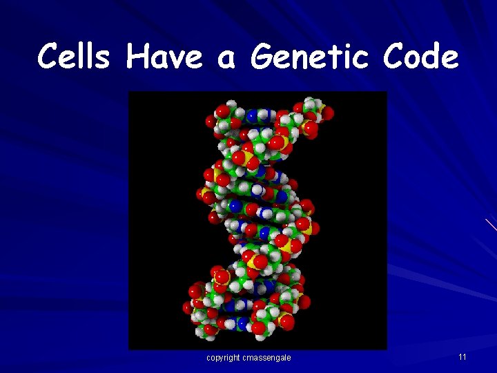 Cells Have a Genetic Code copyright cmassengale 11 