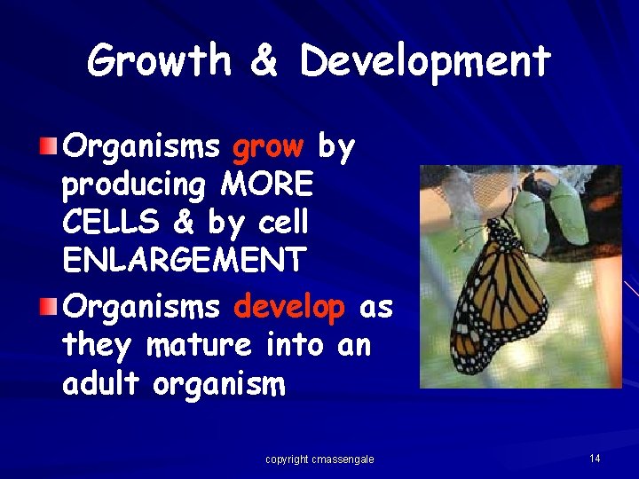 Growth & Development Organisms grow by producing MORE CELLS & by cell ENLARGEMENT Organisms