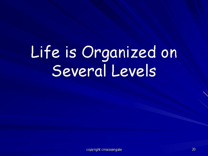 Life is Organized on Several Levels copyright cmassengale 20 