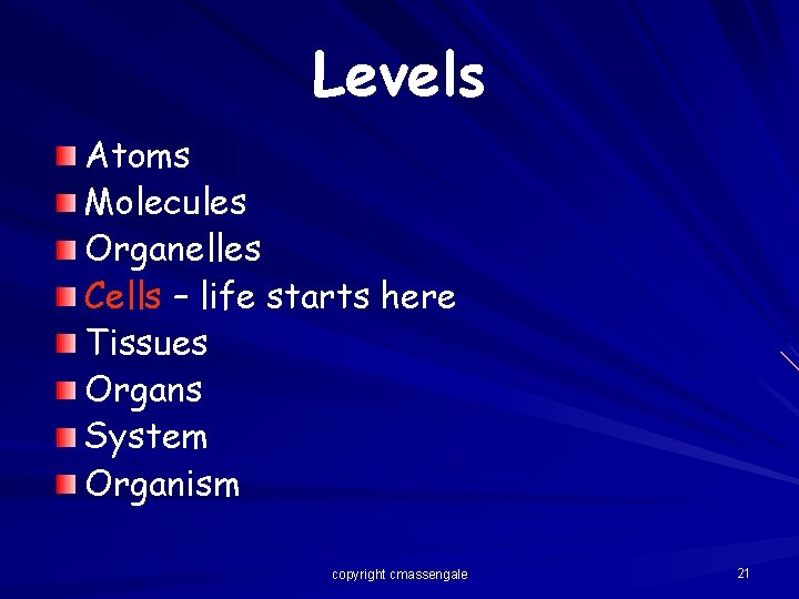 Levels Atoms Molecules Organelles Cells – life starts here Tissues Organs System Organism copyright
