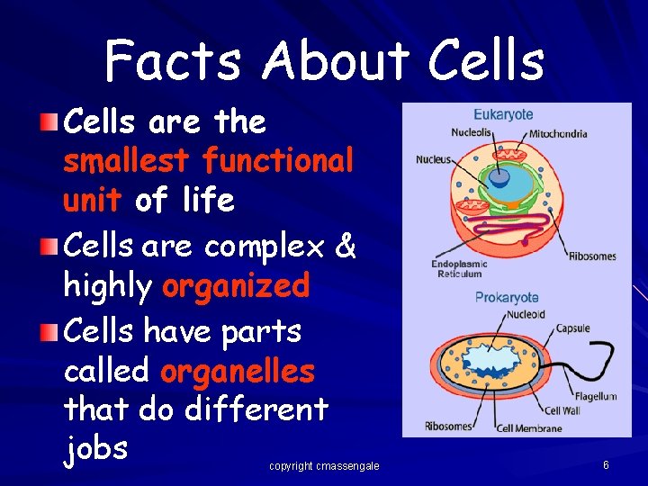 Facts About Cells are the smallest functional unit of life Cells are complex &