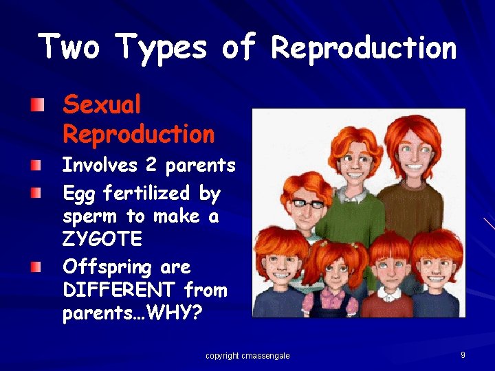 Two Types of Reproduction Sexual Reproduction Involves 2 parents Egg fertilized by sperm to