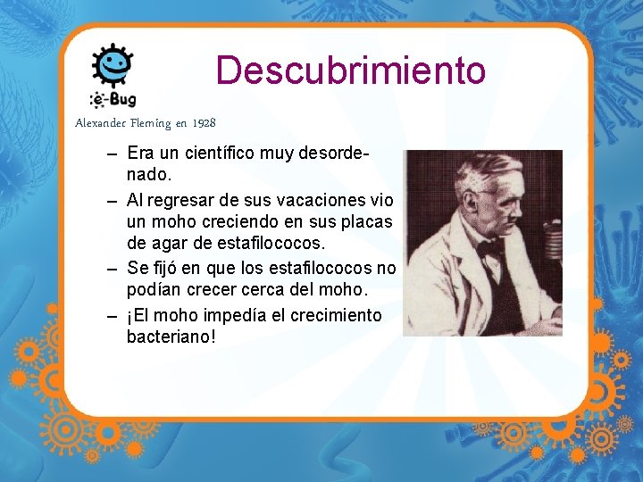 Descubrimiento Alexander Fleming en 1928 – Era un científico muy desordenado. – Al regresar