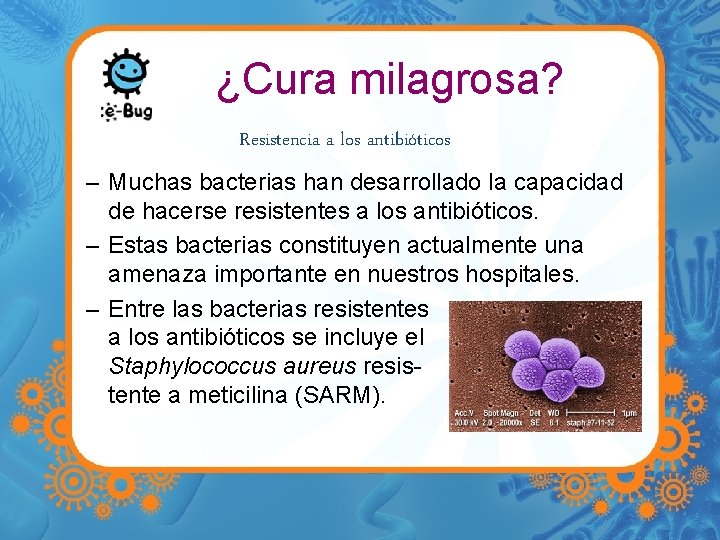 ¿Cura milagrosa? Resistencia a los antibióticos – Muchas bacterias han desarrollado la capacidad de