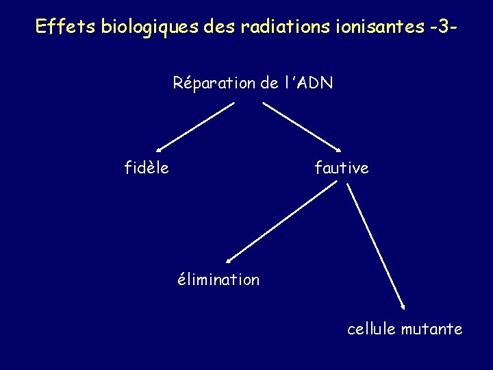 Effets biologiques des radiations ionisantes -3 Réparation de l ’ADN fautive fidèle élimination cellule