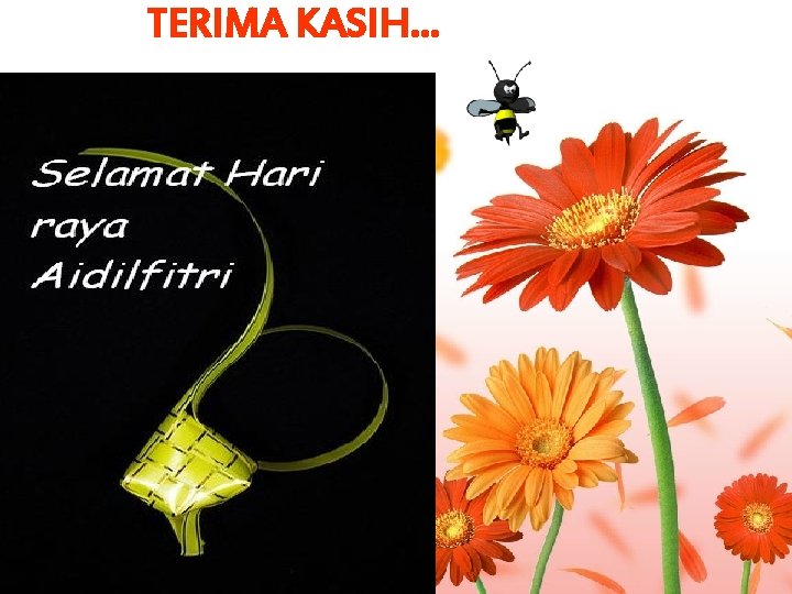 TERIMA KASIH… 